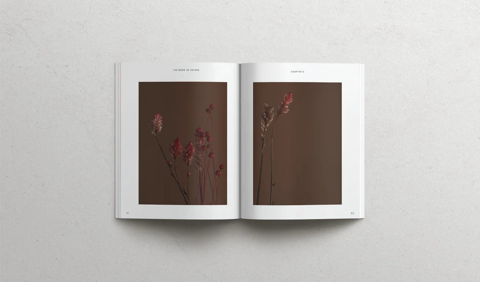 The book of Esther | Soft Cover