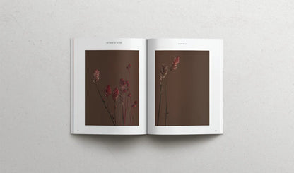 The book of Esther | Soft Cover