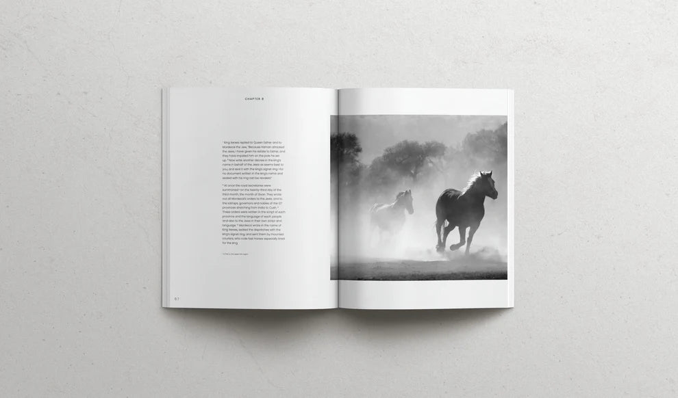 The book of Esther | Soft Cover