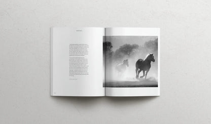 The book of Esther | Soft Cover