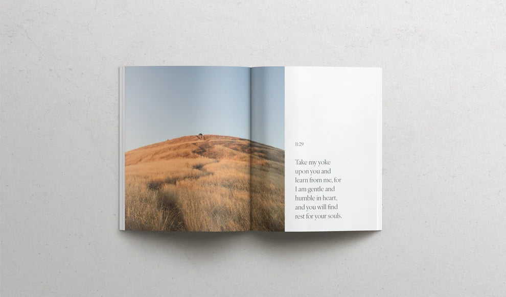 The book of Matthew | Soft Cover