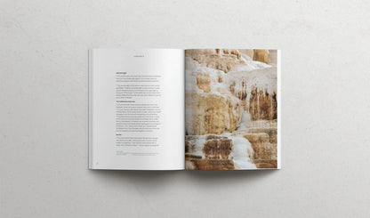 The book of Matthew | Soft Cover