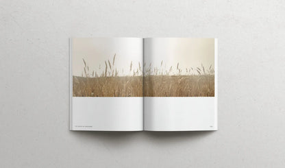 The book of Proverbs | Soft Cover